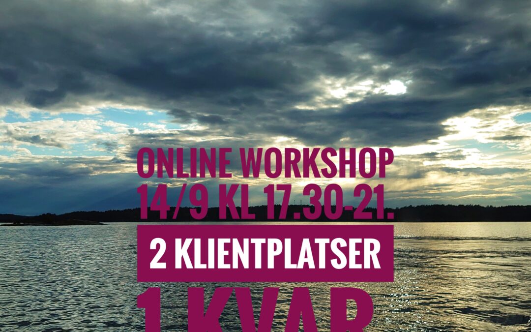 Online-workshop 14/9
