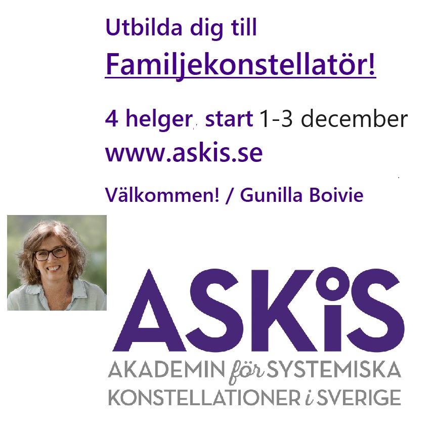 Sista chansen utbildning familjekonstellationer