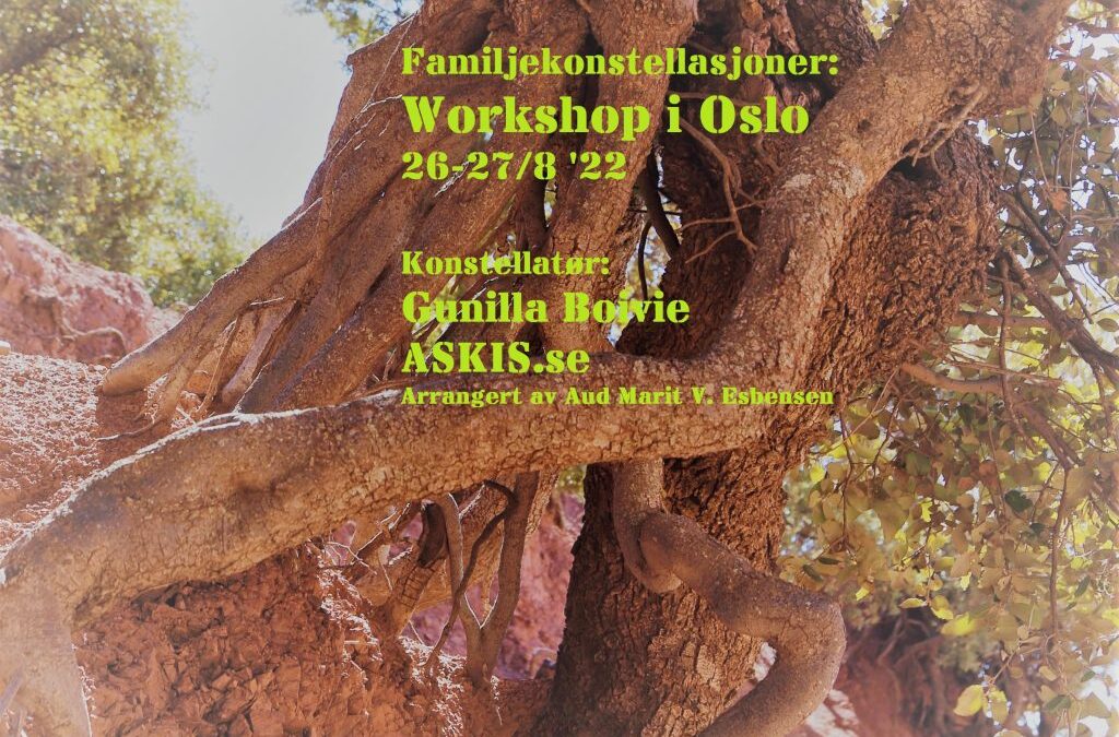 Workshop i Oslo 26-27/8